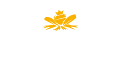 Logo Brüder Grimm Festival Kassel